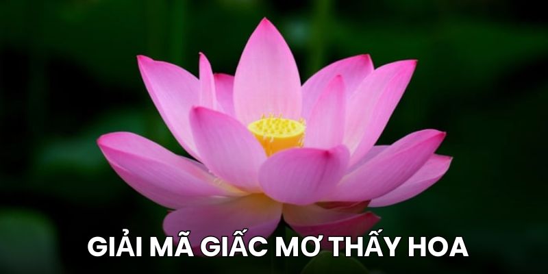 Ý nghĩa chi tiết qua từng giấc mơ thấy hoa