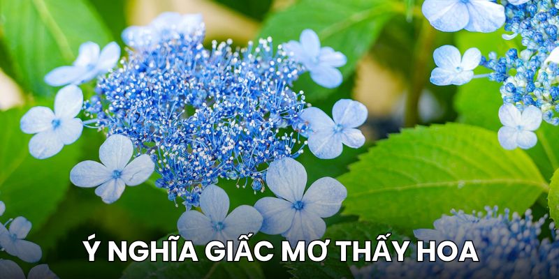 Mơ thấy hoa có điềm tốt hay xấu?