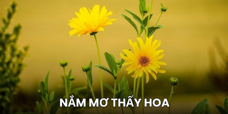 Nằm Mơ Thấy Hoa