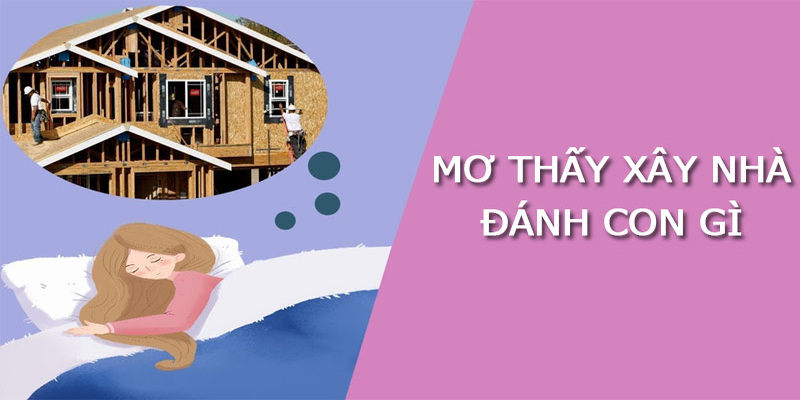 Nằm mơ thấy xây nhà mới đánh gì thắng đậm