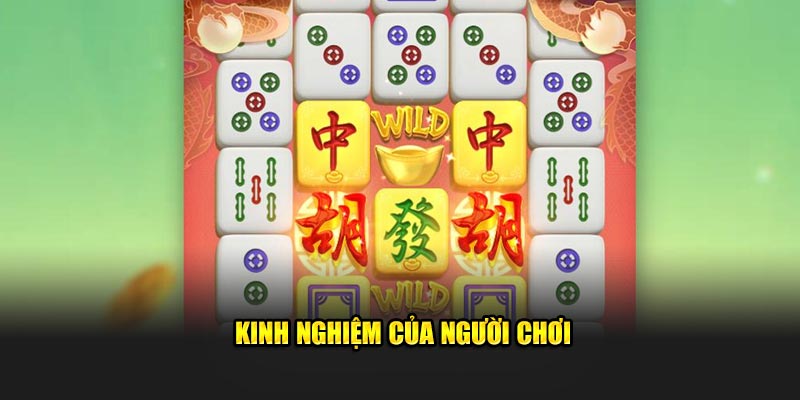 Kinh nghiệm của người chơi